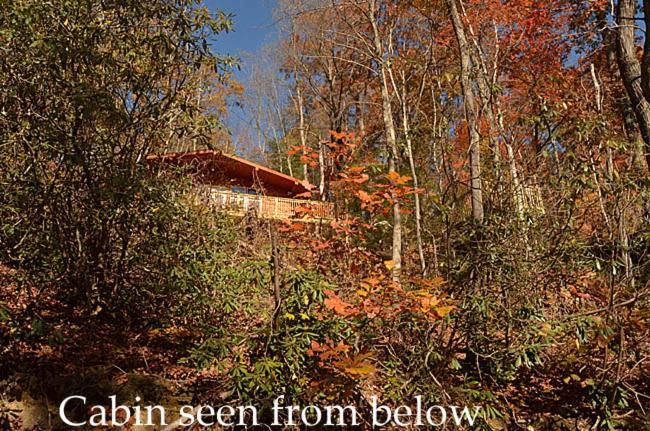 蓋特林堡#820 Honeymoon Hideaway别墅 外观 照片